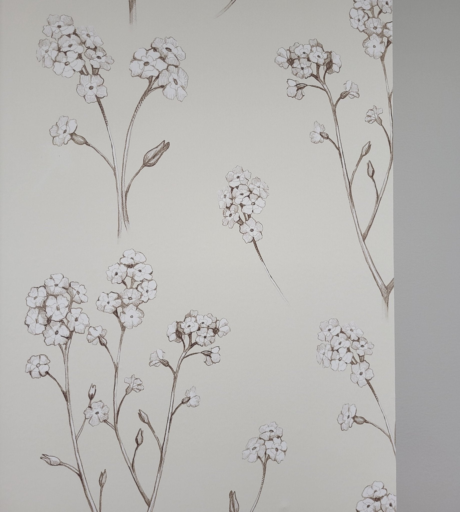 removing wallpaper
