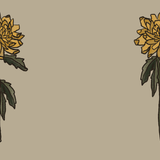 Vintage Aster Wallpaper