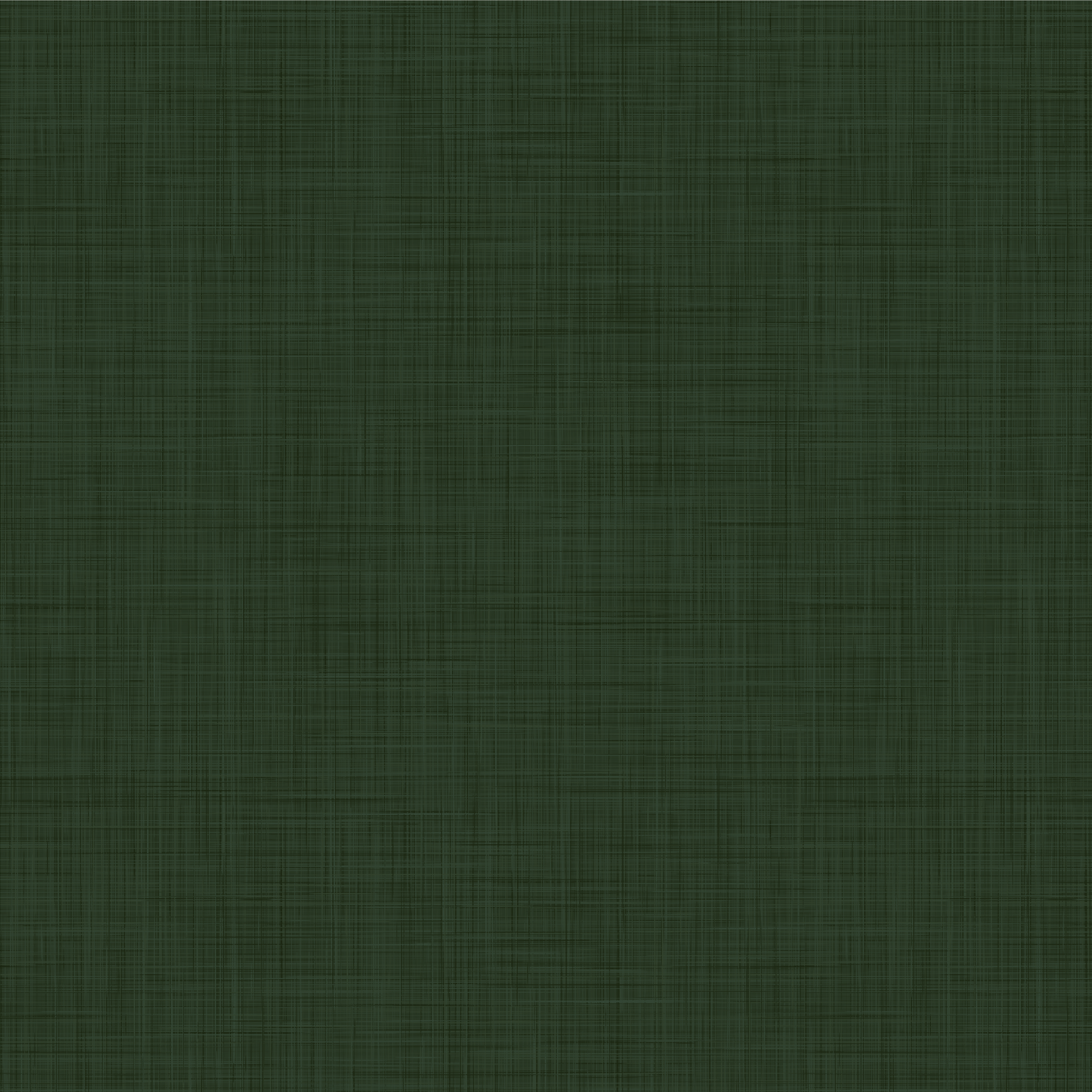 Forest Green Grasscloth Removable wallpaper samples