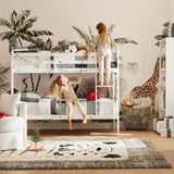 Safari Animal zebra, giraffe, elephant wall decor in a room with white bunk beds