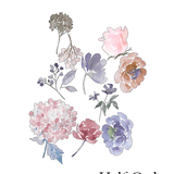 Meadow Flower Wall Stickers, floral wall decals, Rocky Mountain Decals