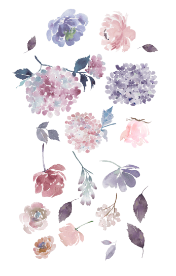 Meadow Flower Wall Stickers, floral wall decals, Rocky Mountain Decals