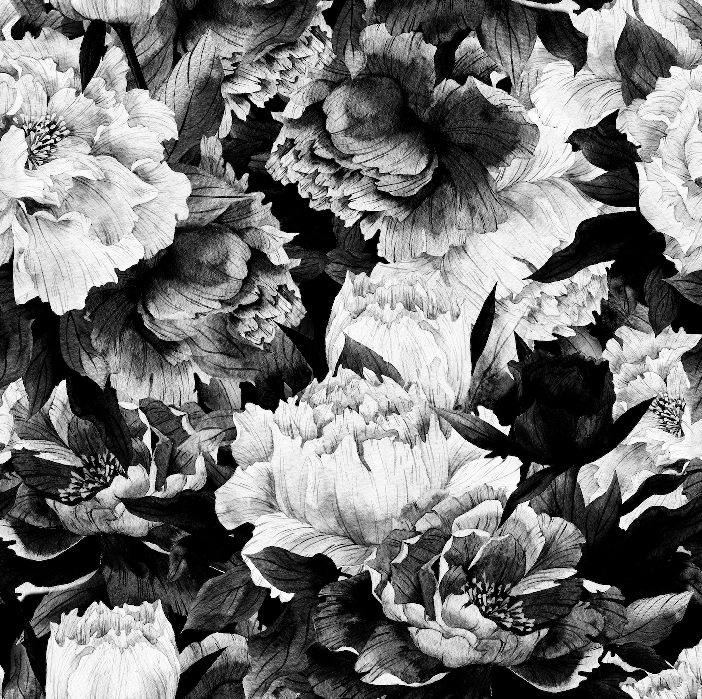 Monochrome Floral Wallpaper (Peel & Stick) - Rocky Mountain Decals