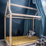 Mountain Wall Mural (Peel & Stick) - Rocky Mountain Decals
