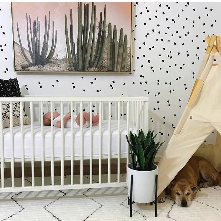 Organic shaped Dots, Kids Wall Decals, Rocky Mountain Decals