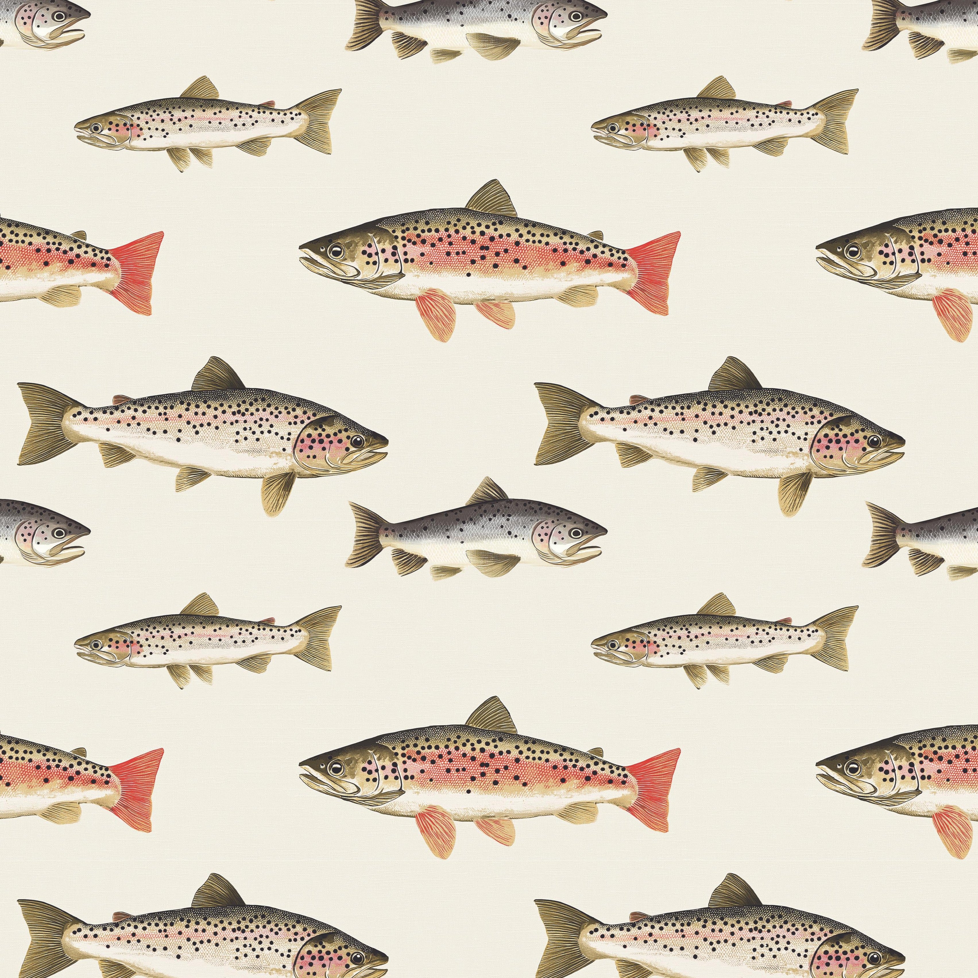 Angler's trout wallpaper sample featuring rainbow trout and brown trout on a cream background