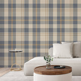 Living room with blue and cream plaid wallpaper behind a white sofa, cozy modern accent wall design.