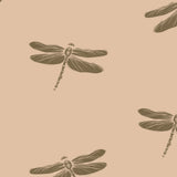 Close up of vintage dragonfly illustration wallpaper showing hand drawn insect details on warm beige background