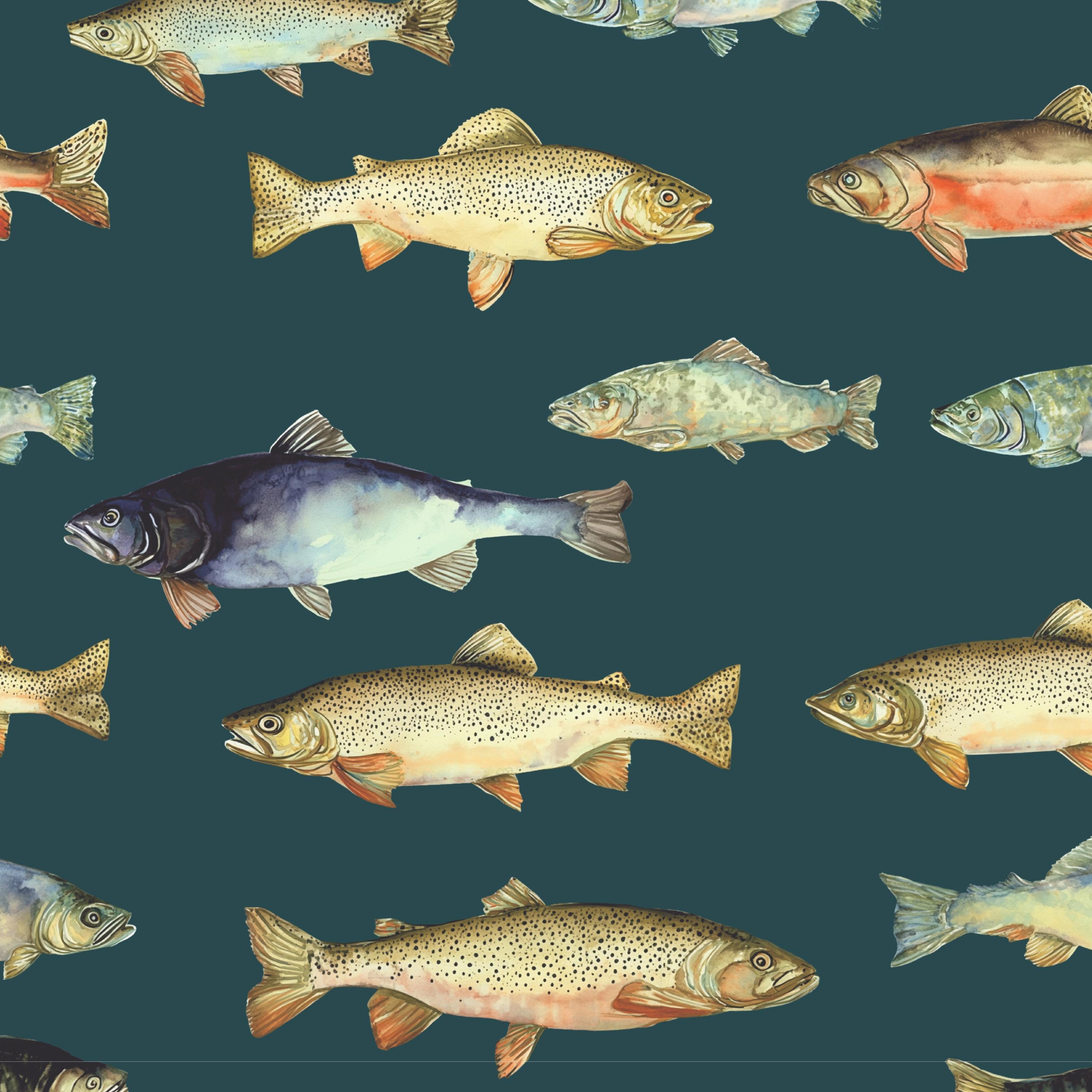 Freshwater fish wallpaper featuring watercolor trout and salmon on a dark teal background