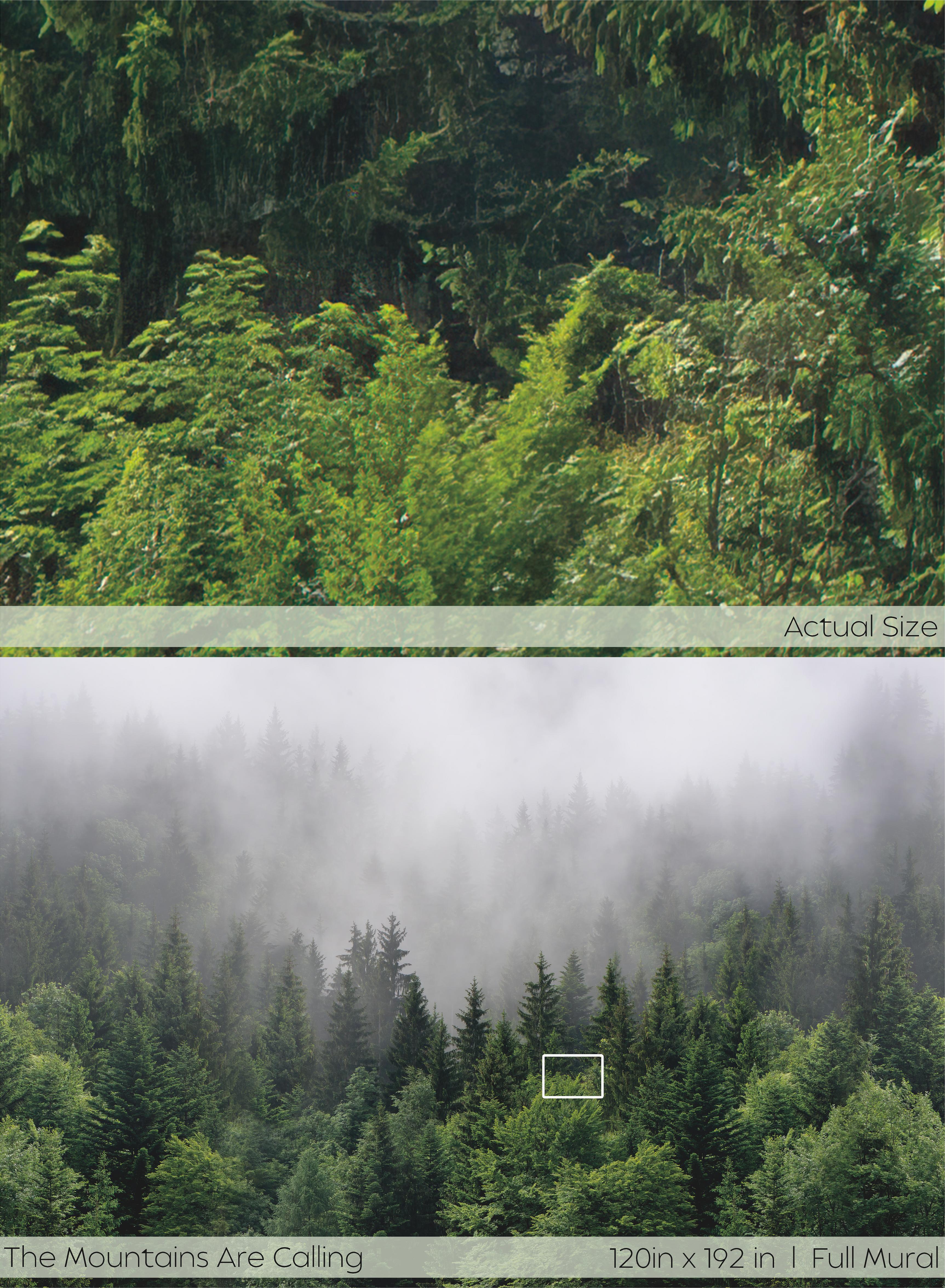 The Mountains Are Calling Wall Mural