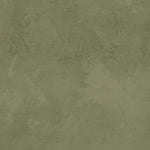 Close-up of olive green limewash wallpaper texture – limewash wallpaper, olive green wall texture, earthy green wallpaper