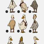 Small Duck Duck Goose decal set, includes 48 removable wall stickers featuring charming ducks and geese in scarves and bonnets. Each decal measures approximately 6 inches tall, perfect for adding a whimsical touch to any room