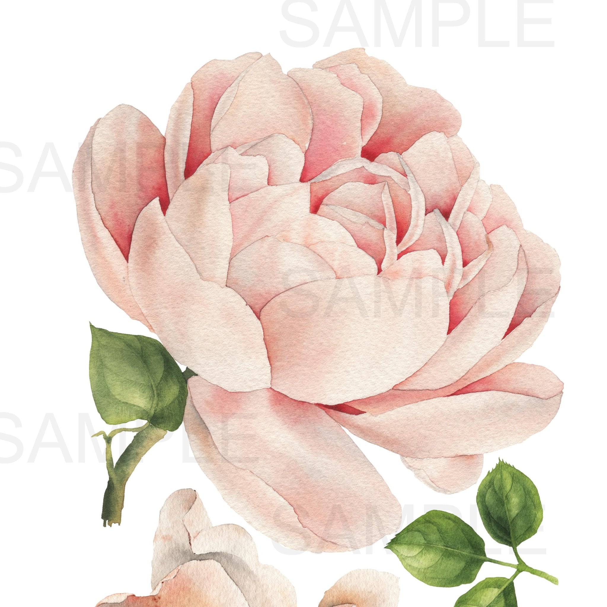 Autumn Rose Floral Wall Decals (Wall Stickers)