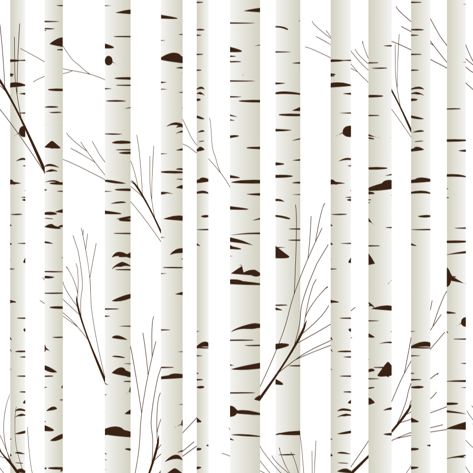 Birch Tree Wallpaper, Nature Wallpaper