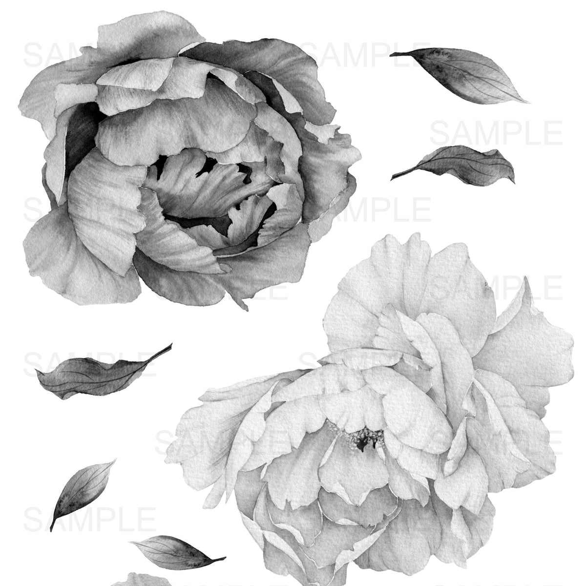 Black and White Peony Flower Wall Stickers