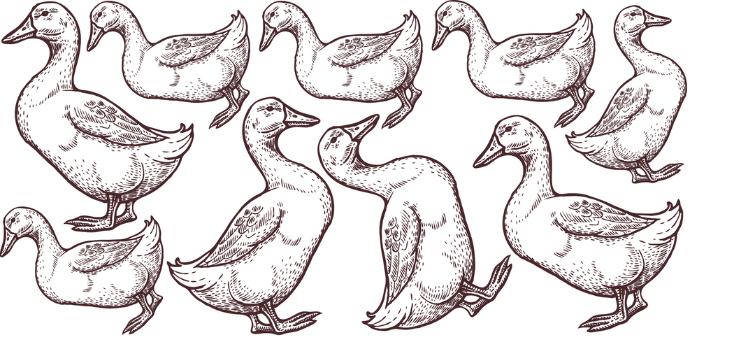 Geese Decals, Mother goose wall stickers