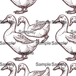 Sample of Geese Decals for Kids walls