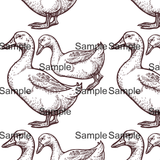 Sample of Geese Decals for Kids walls