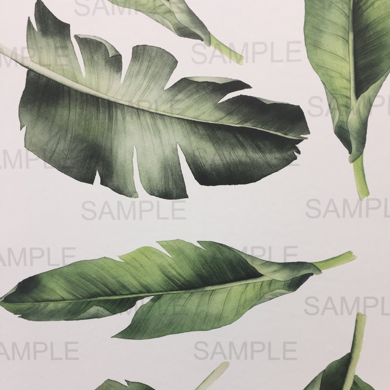 Tropical Leaf Wall Decal Stickers