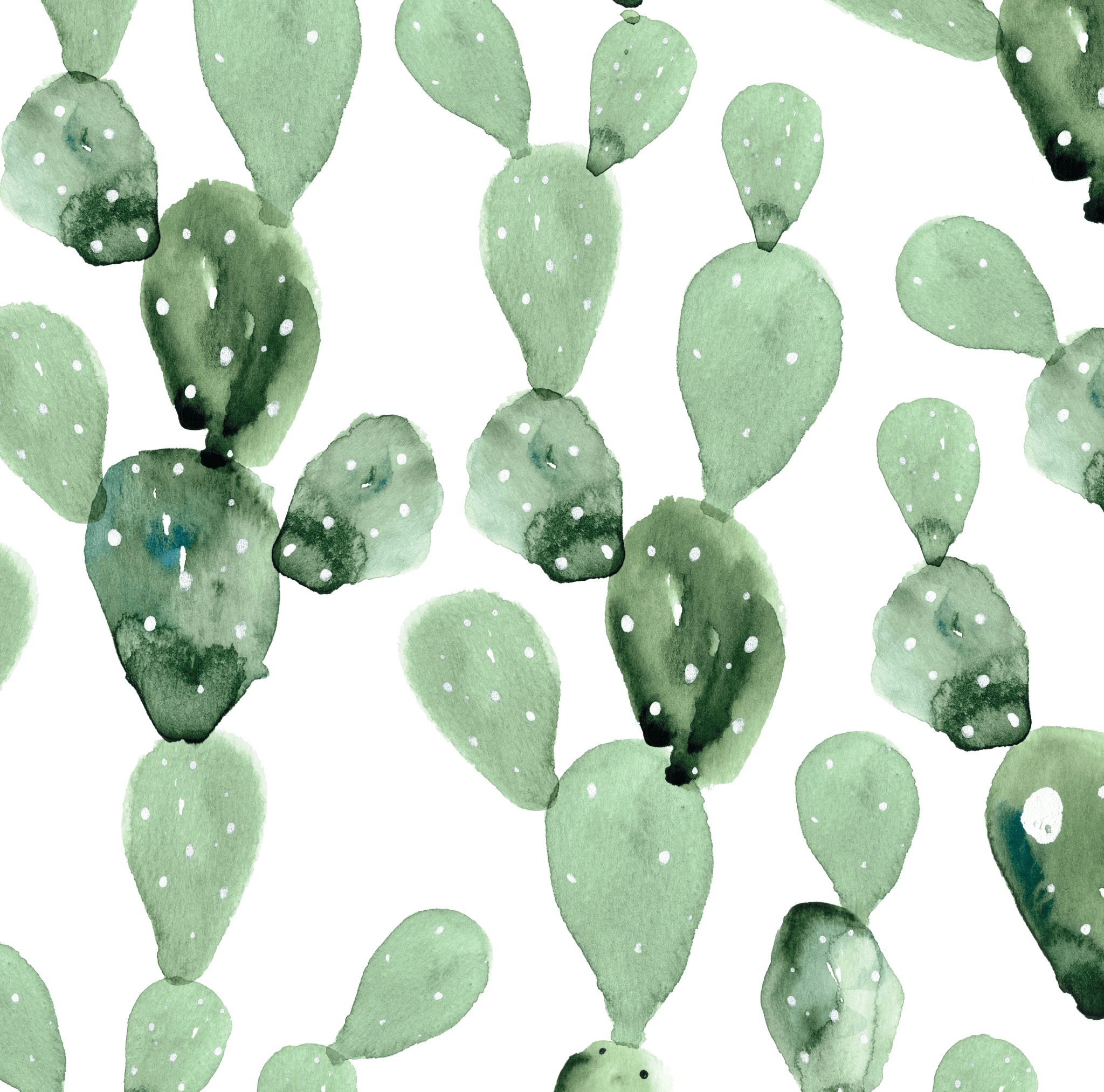 cactus wallpaper, removable peel and stick wallpaper, wall paper, wall paper peel and stick, wallpapers peel and stick