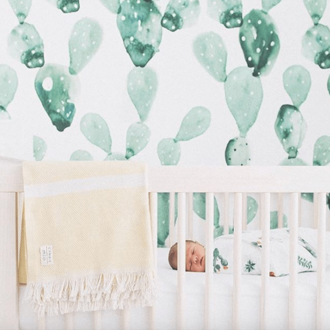 Cactus Wallpaper, Baby Girl Wall Decor, Baby Boy Nursery Decor, Kids Wallpaper
