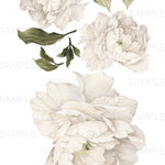 White Peony Flower Wall Stickers, floral wall decals, Rocky Mountain Decals
