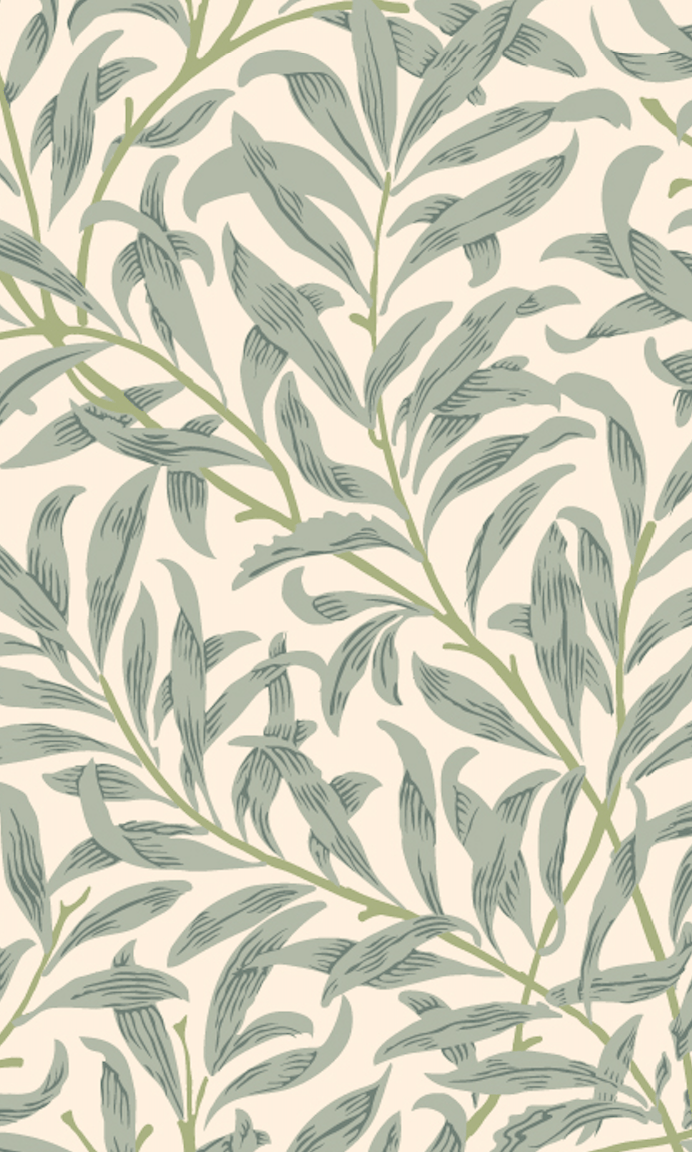Serene Willow Eye Care Moment for Your Screen Serene Willow Eye Care Moment for Your Screen